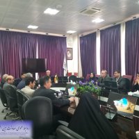 برگزاری جلسات سامانه بین المللی سلامت ایران 1402/07/28